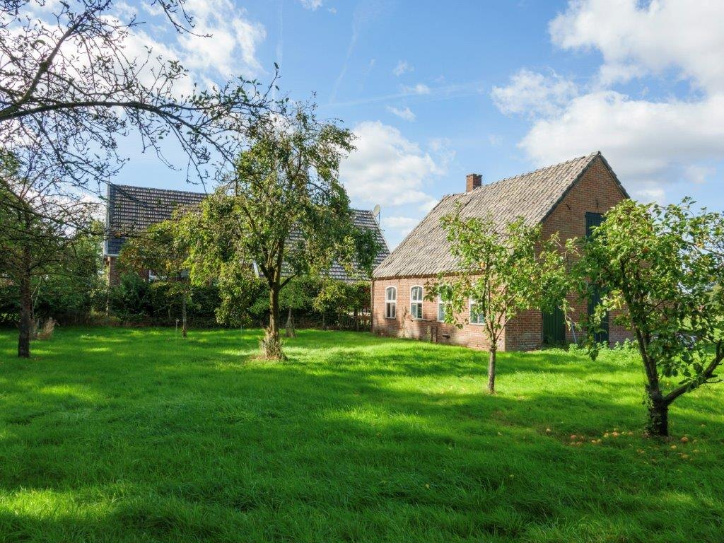 Fruitbomen met de zijkant van het huis